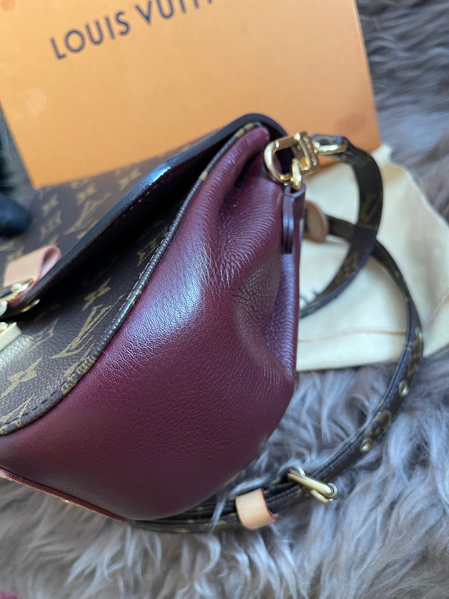 Preloved Louis Vuitton Monogram Eden PM Bag
