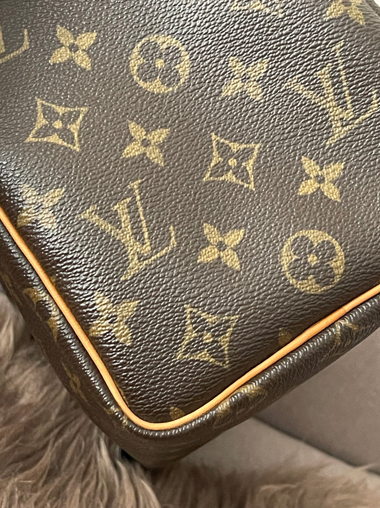 Preloved Authentic Louis Vuitton Speedy 25