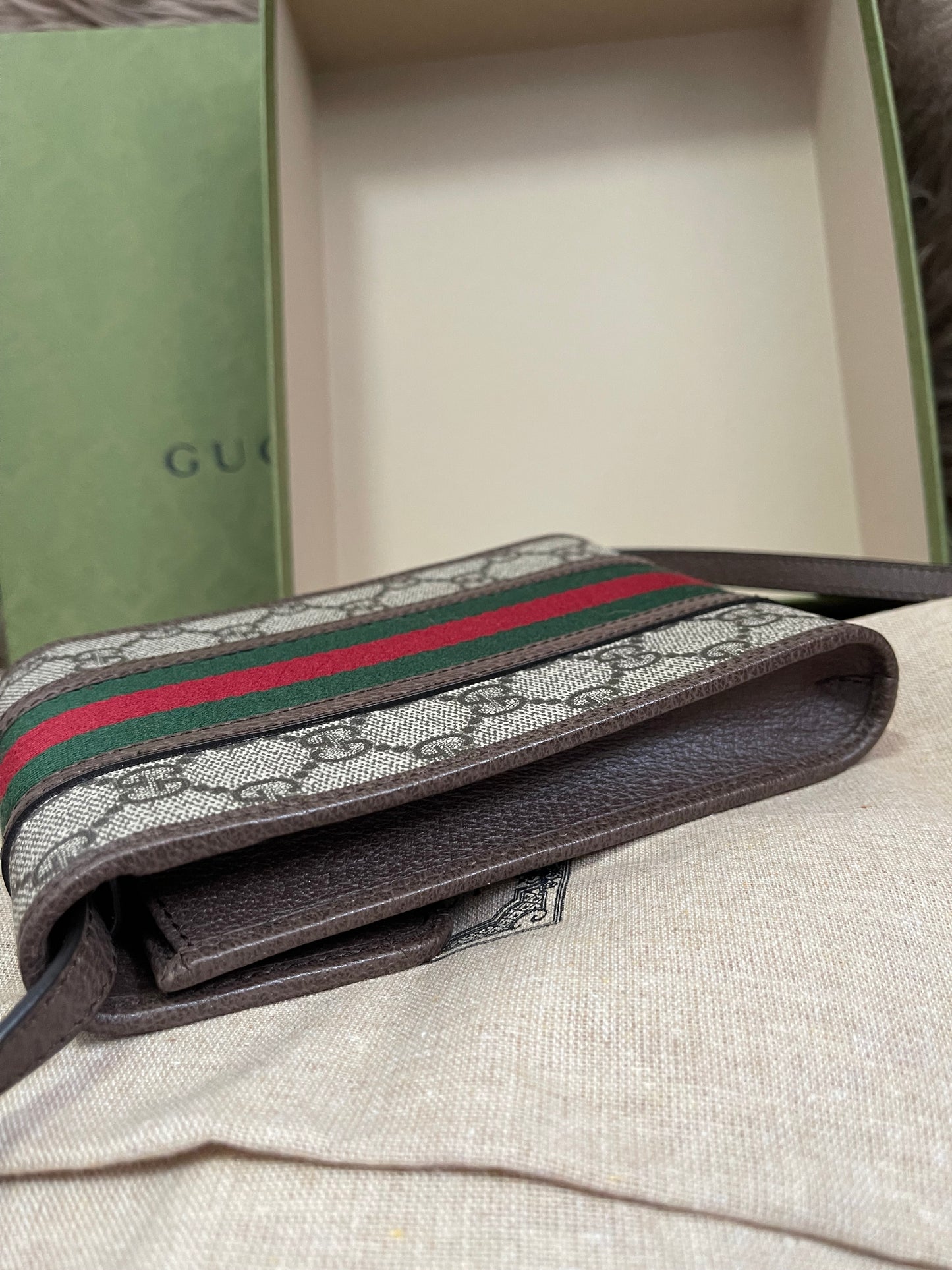 Preloved Gucci GG Ophidia Mini Bag