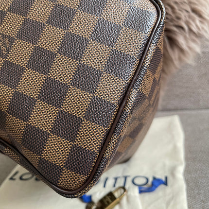 Louis Vuitton Speedy 25 Damier Ebene full view with dust bag