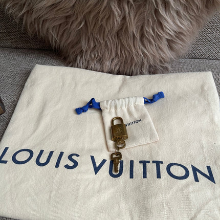 Preloved Authentic Louis Vuitton Speedy 25 — Damier Ebene