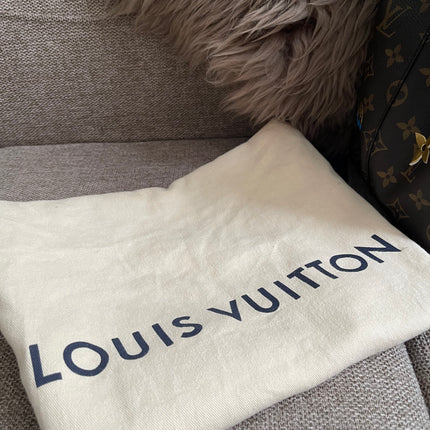 Preloved Authentic Louis Vuitton NéoNoé BB — Monogram Love Lock (Limited Edition)