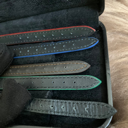 FENDI Chameleon Changeable Belt Watch 5Colors