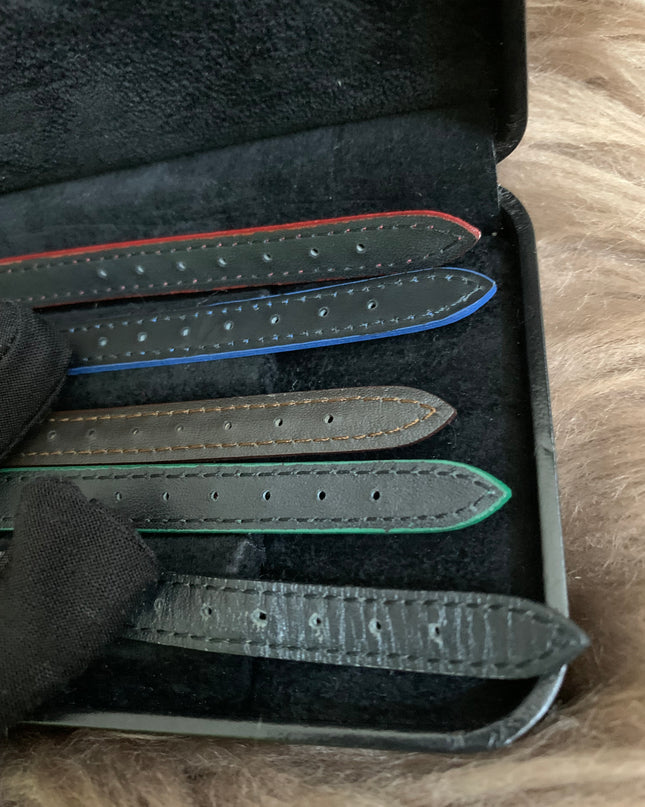 FENDI Chameleon Changeable Belt Watch 5Colors