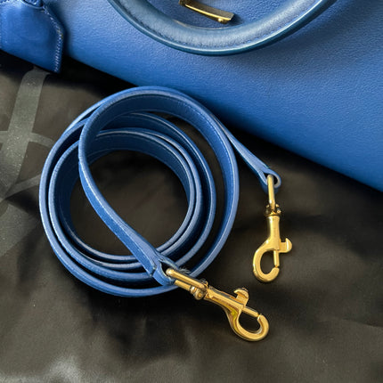 Preloved Authentic Rank A- Saint Laurent Cabas bag