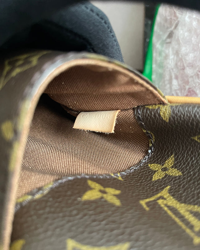 Preloved Louis Vuitton Pre-Owned
2004 Pochette Gange belt bag