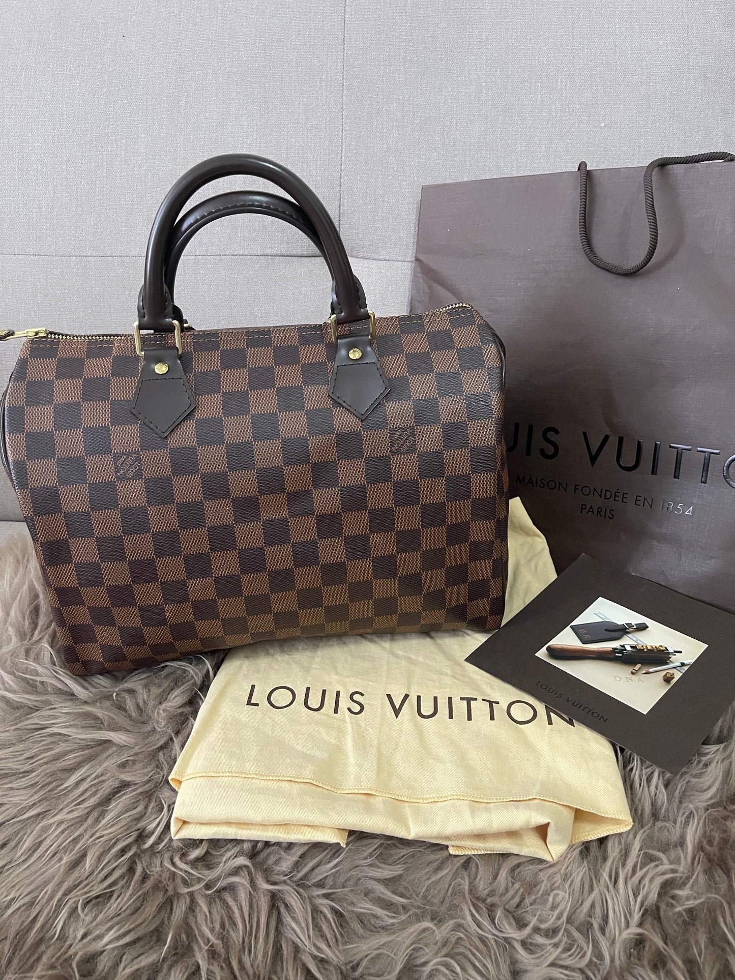 Preloved Louis Vuitton Speedy 30 Damier