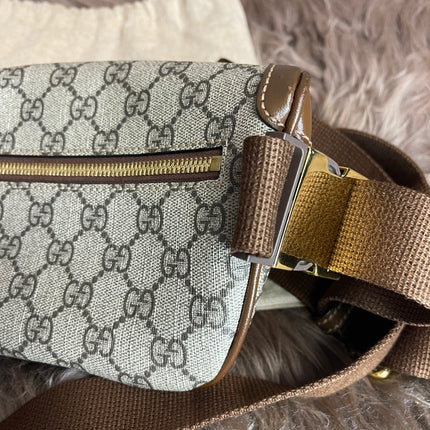 Preloved Gucci Mini Belt Bag – GG Supreme Canvas